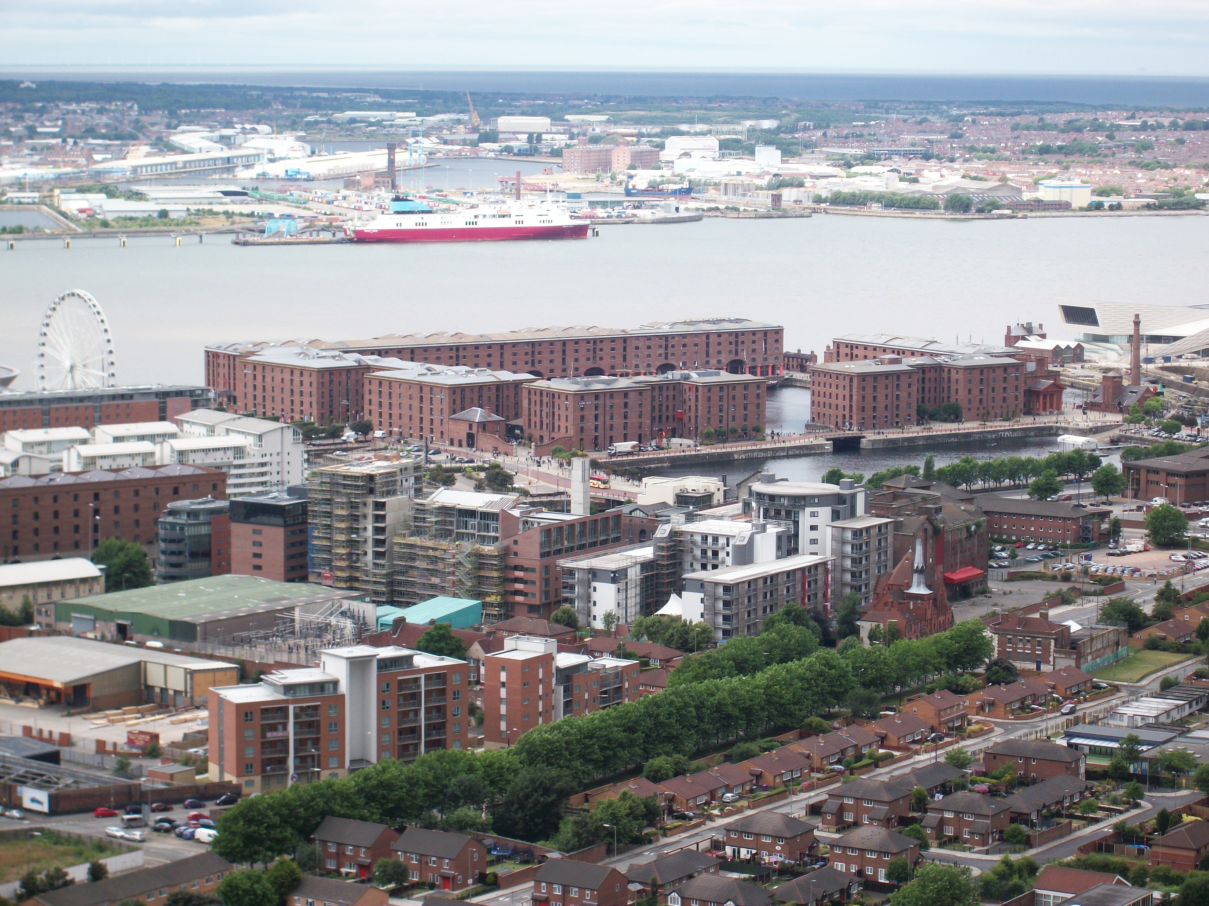 albert from cathedral