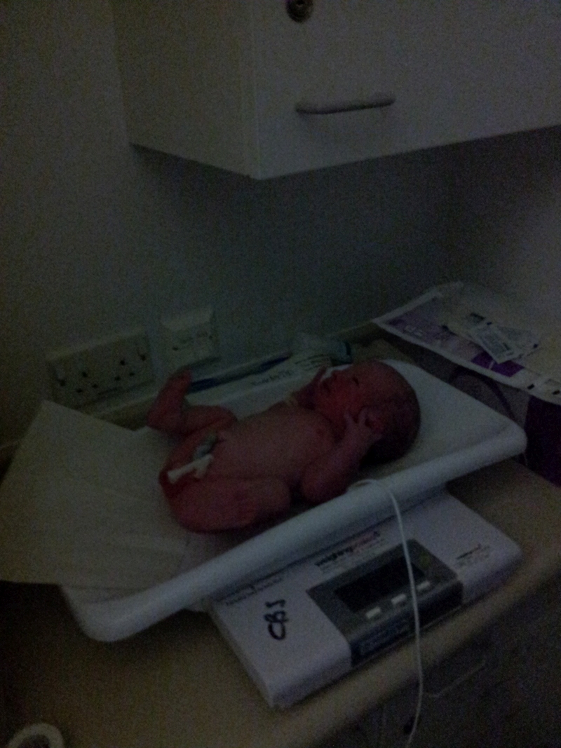 Jack6lb5.jpg