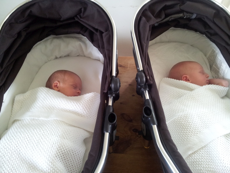 17daysOld.jpg